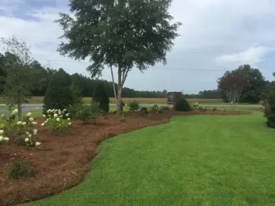 Creativescapes - Tree & Shrub Care in Glennville, GA