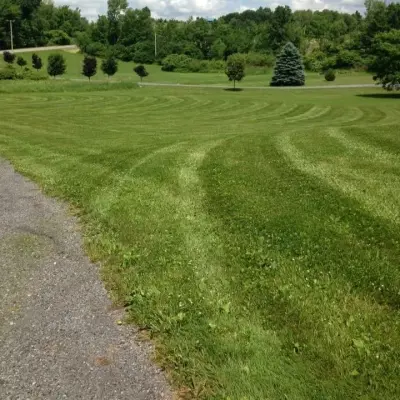 BLR Enterprise - Tree & Shrub Care in Canandaigua, NY