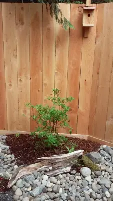 Fire Sparrow Landscaping - Design-Build Services in Kirkland, WA