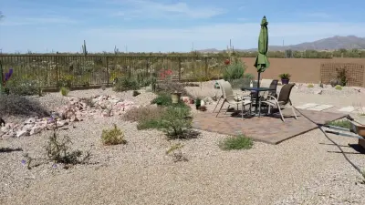 ALA, Artistic Landscape Architecture - Tree & Shrub Care in Tucson, AZ