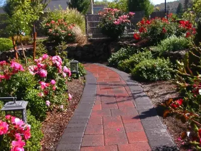 Carols Colors Landscaping - Tree & Shrub Care in Ashland, OR