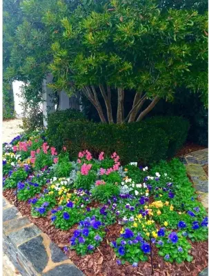 Wrightsville Beach Landscaping and Lawn Care, Inc. - Tree & Shrub Care in Wilmington, NC