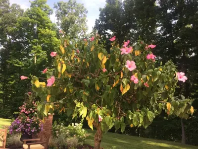 Bruce Ewing - Landscape Construction in Fort Wayne, IN
