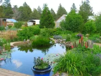 Shades of Green - Tree & Shrub Care in Klamath Falls, OR