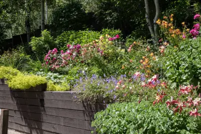Good Earth Landscaping & Maintenance - Design-Build Services in Carbondale, CO