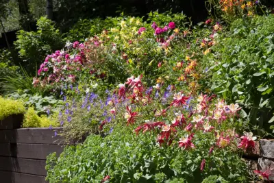 Good Earth Landscaping & Maintenance - Design-Build Services in Carbondale, CO