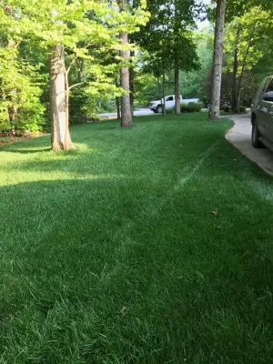 Sod Project — Landscape Construction project by Yoder Lawn