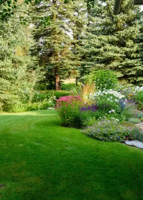 Frederick Landscaping - Tree & Shrub Care in Jackson, WY