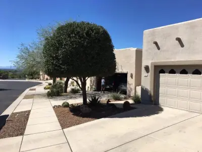 Desert Aesthetics Landscape - Tree & Shrub Care in Tucson, AZ