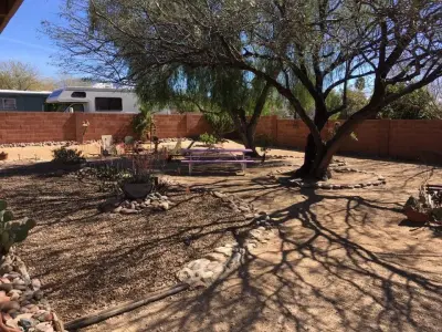 Desert Aesthetics Landscape - Tree & Shrub Care in Tucson, AZ