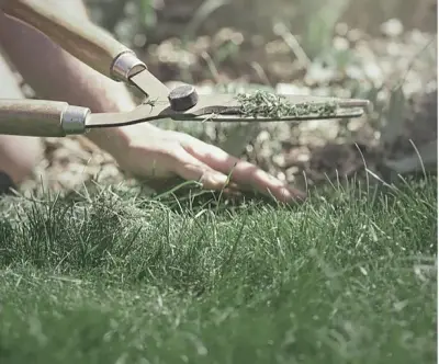 SR Lawn Specialists LLC - Tree & Shrub Care in Grants Pass, OR