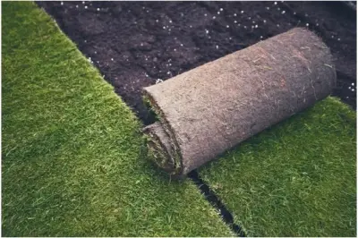 SR Lawn Specialists LLC - Tree & Shrub Care in Grants Pass, OR