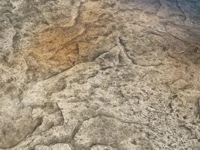 Imprinted patio — Landscape Construction project by Schellhaas Landscape Construction