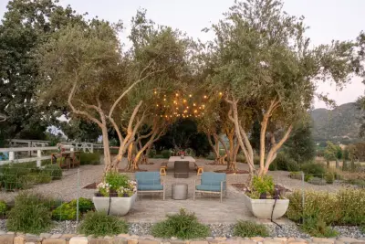 Beginner's Agricultural Initiative — Landscape Construction project by AAA Landscaping LLC