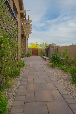 Santa Rita Landscaping, Inc. - Tree & Shrub Care in Tucson, AZ