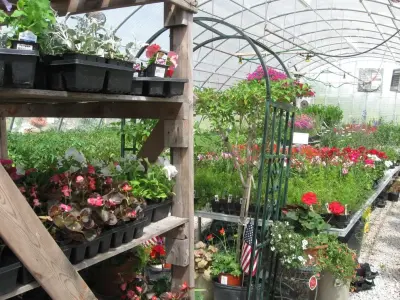 Stone Creek Landscape & Nursery - Landscape Construction in Fort Dodge, IA