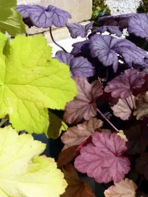 Stone Creek Landscape & Nursery - Landscape Construction in Fort Dodge, IA