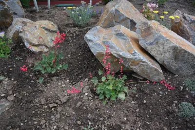Gunnison Valley Landscapes - Landscape Construction in Gunnison, CO