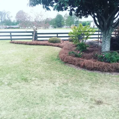 Southern Landscapes - Tree & Shrub Care in Tifton, GA