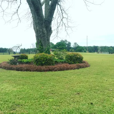 Southern Landscapes - Tree & Shrub Care in Tifton, GA