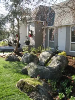 Urban Forest — Landscape Construction project by Plant Systems Landscape