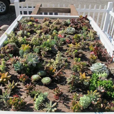 Sarah's Landscaping Inc. - Tree & Shrub Care in Champaign, IL