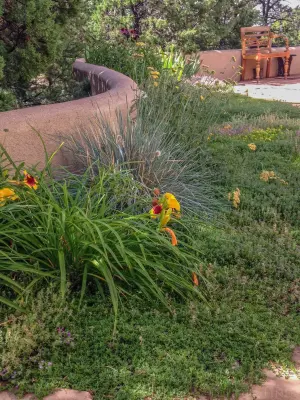 Terra Gardens Santa Fe - Tree Planting & Transplanting in Santa Fe, NM