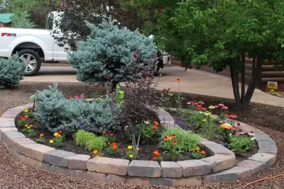 Mountains Best Landscape - Tree & Shrub Care in Show Low, AZ