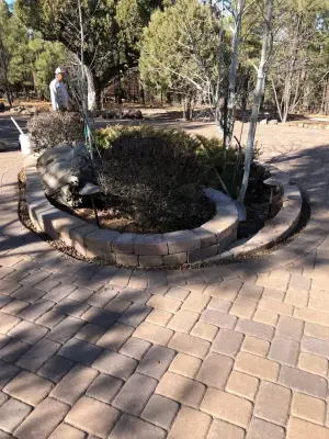 Mountains Best Landscape - Tree & Shrub Care in Show Low, AZ