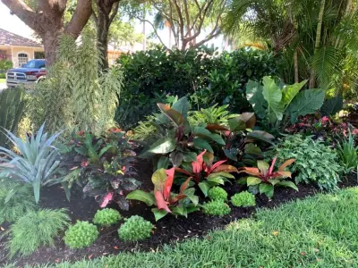 Pelican Marsh Residence - Naples — Landscape Construction project by Photoscape Landscape And Design