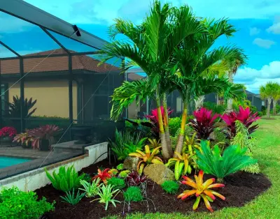 Photoscape Landscape and Design - Tree & Shrub Care in Fort Myers, FL