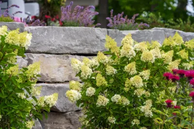 Flaska Landscaping - Deck Building & Repair in Traverse City, MI