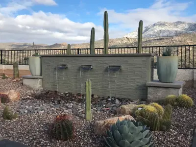 Tucson's Winter Magic — Landscape Construction project by Santa Rita Landscaping, Inc.
