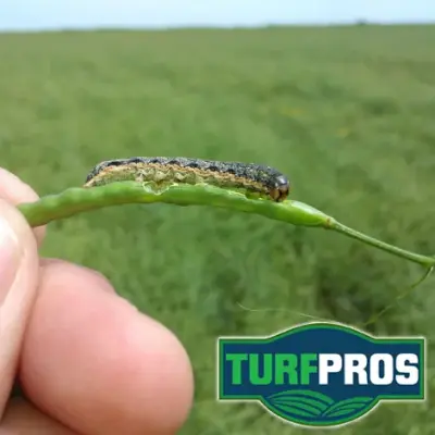 TurfPros - Pest Control Services in Statesboro, GA