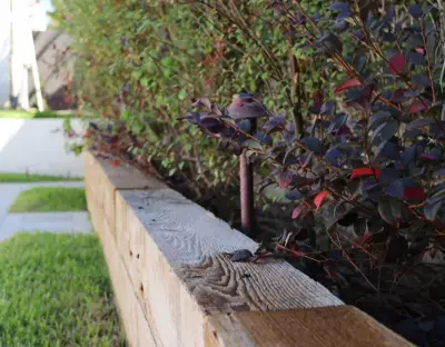 HG Landscape - Tree & Shrub Care in Canyon Country, CA