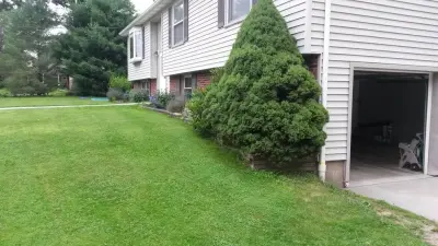 XPD Landscaping - Tree Planting & Transplanting in Olean, NY
