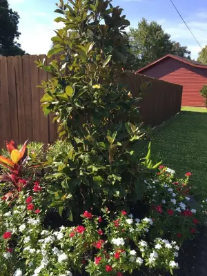 Classic Landscaping — Landscape Construction project by Twisted Vines Lawn & Landscaping
