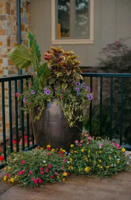 Rost, Inc. - Patio Design & Installation in Columbia, MO