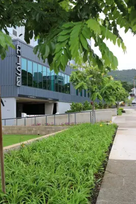 Lē'ahi Landscaping - Tree & Shrub Care in Honolulu, HI
