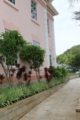 Lē'ahi Landscaping - Tree & Shrub Care in Honolulu, HI