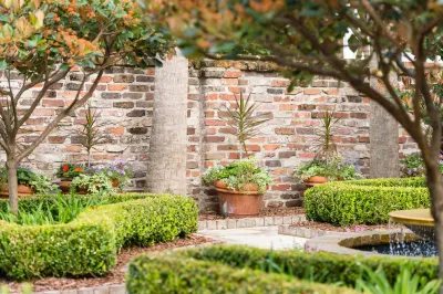Formal Roots — Landscape Design project by Carolina Landscape, Inc.