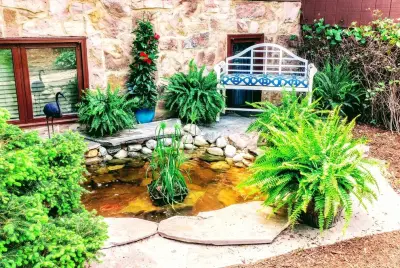 Back to Nature Landscaping & Wildlife Restoration - Design-Build Services in Blacksburg, VA