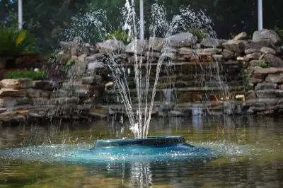 Trawick Gardens & Landscapes - Design-Build Services in New Brockton, AL