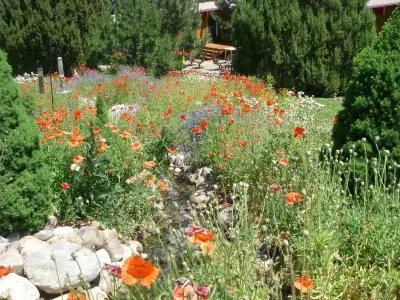 Aquatic Elements — Landscape Construction project by Green Thumb Horticultural