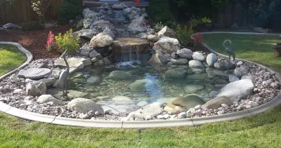 Aquatic Elements — Landscape Construction project by Waterfalls Northwest