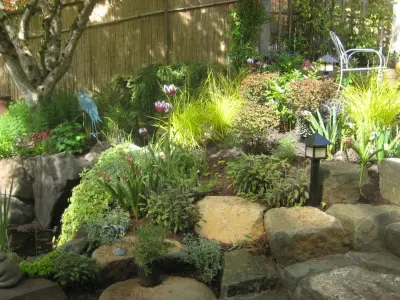 Scapes Unlimited - Tree & Shrub Care in Eugene, OR
