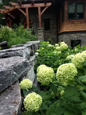 Willow Creek Home — Landscape Construction project by The Village Greenhouse