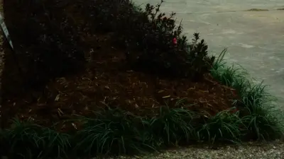 Wittenberg scenery — Landscape Construction project by Lollys Gardening