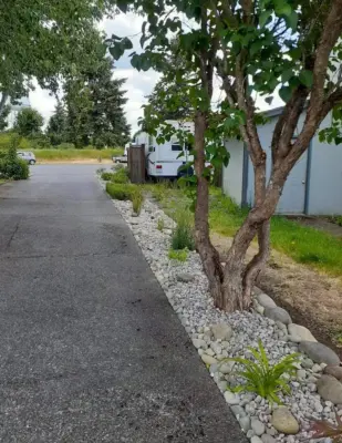 Drought-resistant landscaping — Landscape Construction project by All Seasons Landscaping Of Mason County LLC