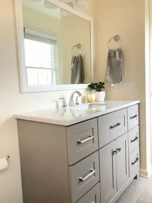 Massanetta Springs Primary Bathroom — Home Renovation & Remodeling Services project by Mint Construction